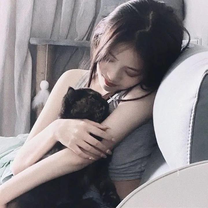 鸟,孤儿和愚人